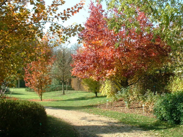 The parc du Moulin à Tan