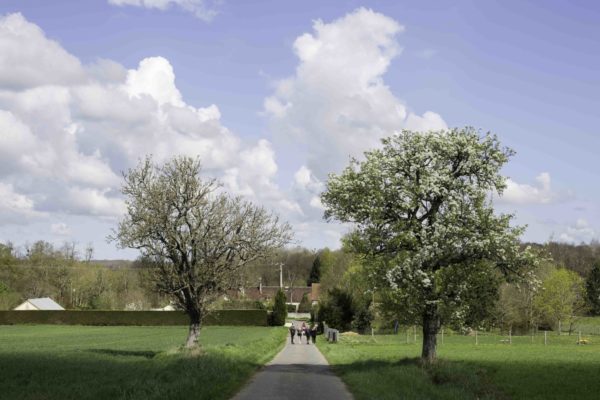 Itineraries available in 1 click