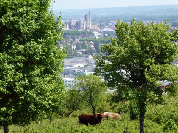 Come to the Sénonais region